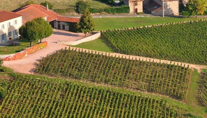 Cuvage du Domaine de Sérol, Renaison