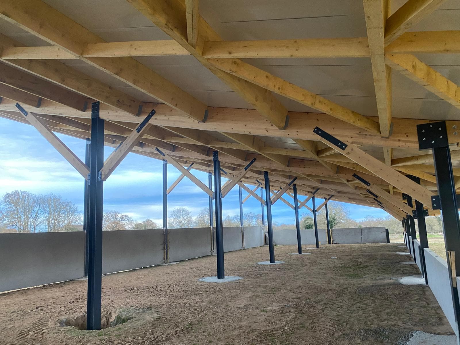 Charpente bois d'un préau agricole sur poteaux acier